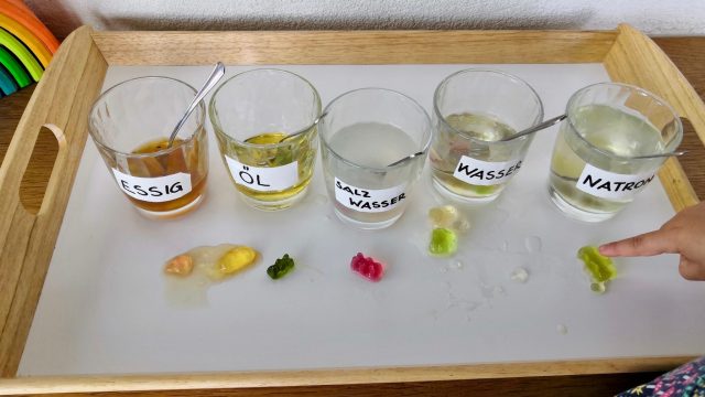 Gummibärchen Experiment -Forschen und Staunen
