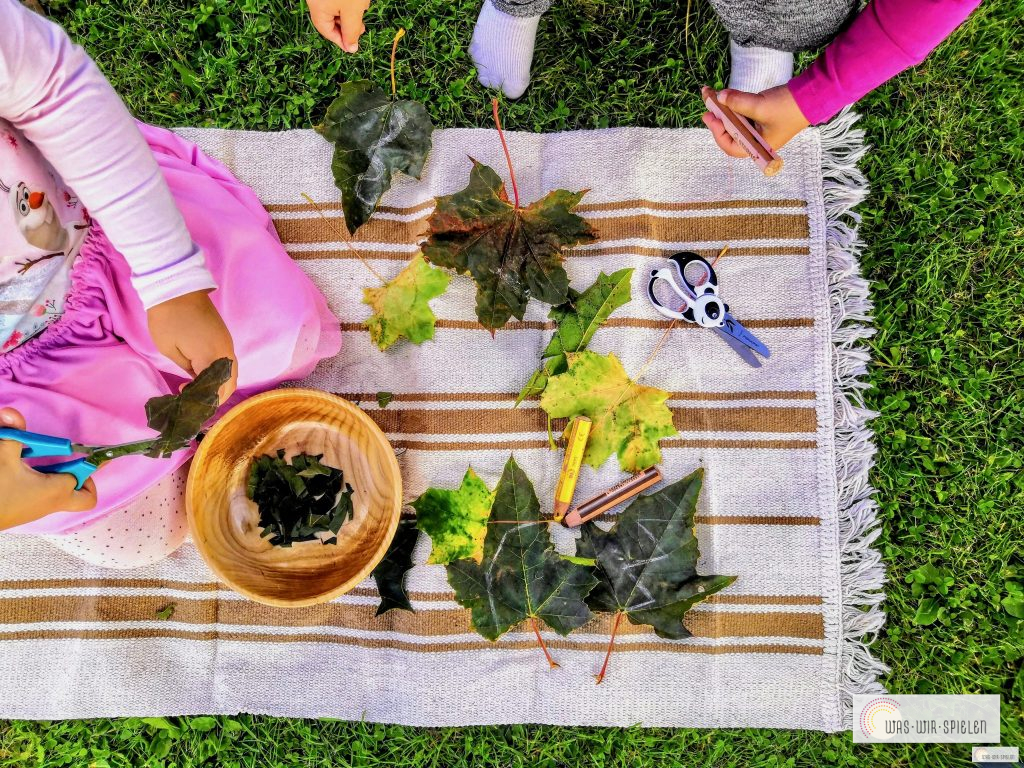 Blätter zerschneiden
