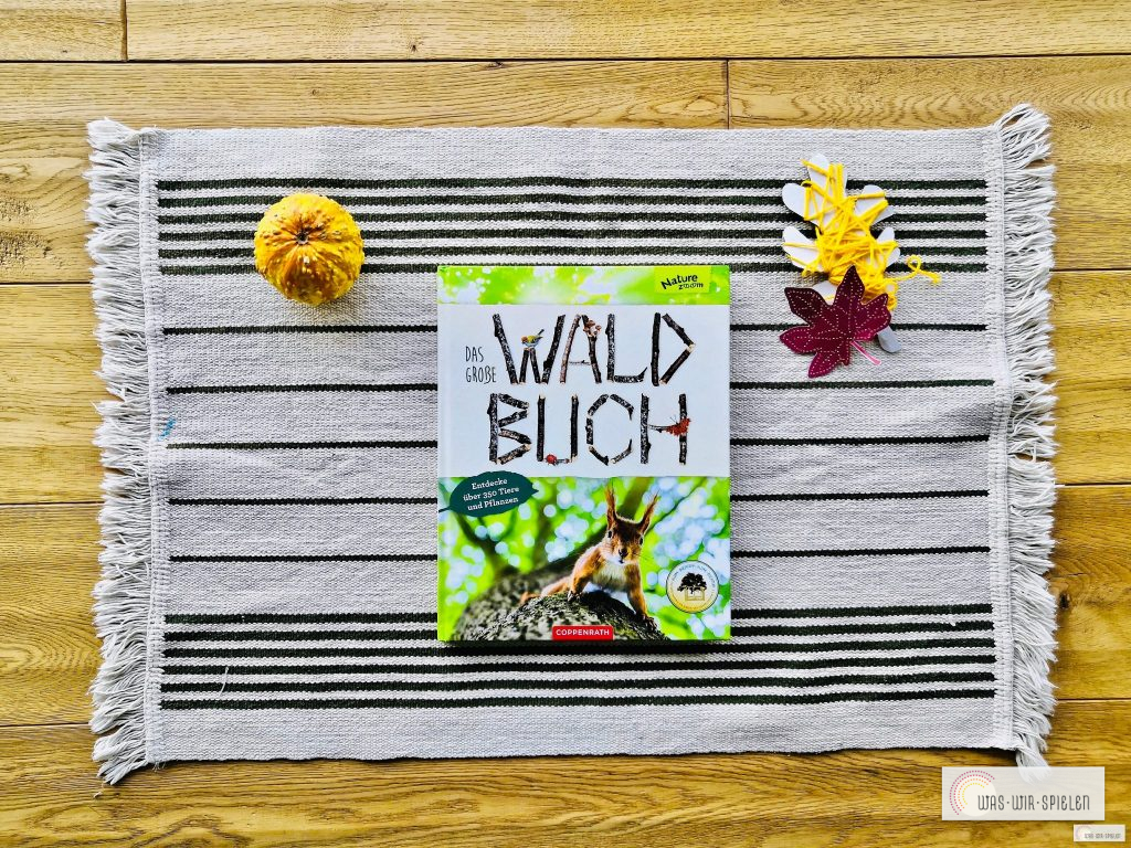 Das Waldbuch ist ein tolles Sachbuch für Kinder