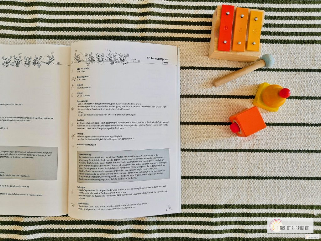 ein Blick ins Buch, jede Idee ist fachlich toll erklärt