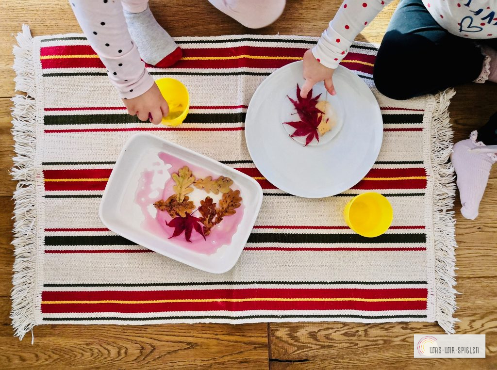 Blätter einfrieren und mittels warmen Wasser befreien