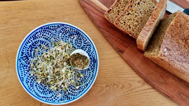 Sprossen selber ziehen – Kinderleicht & gesund