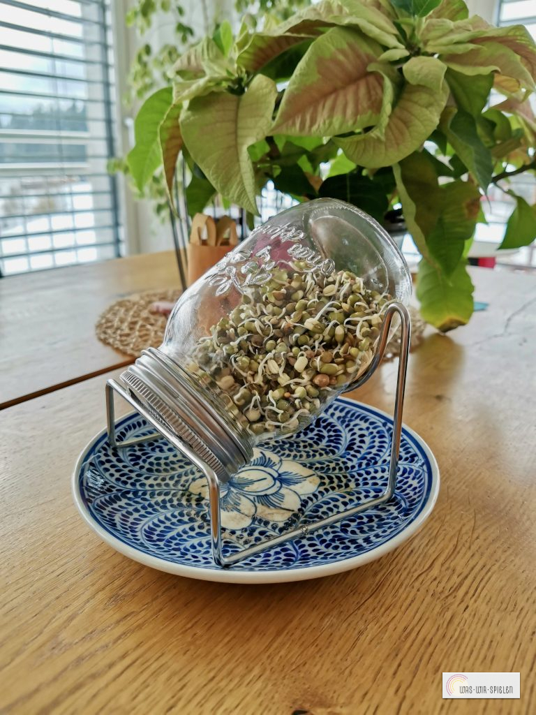 Die Keime entwickeln sich - Tag 3