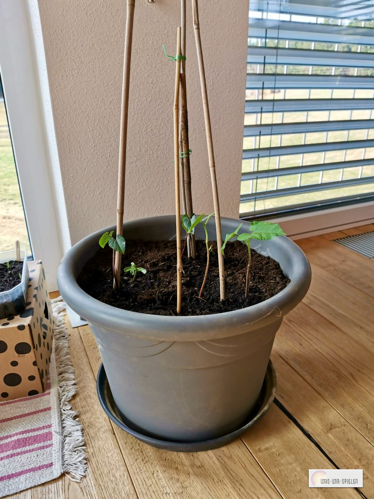 Der Umzug ist überstanden