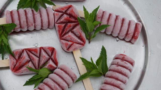 Erdbeereis – Ein gesunder Snack für Kinder