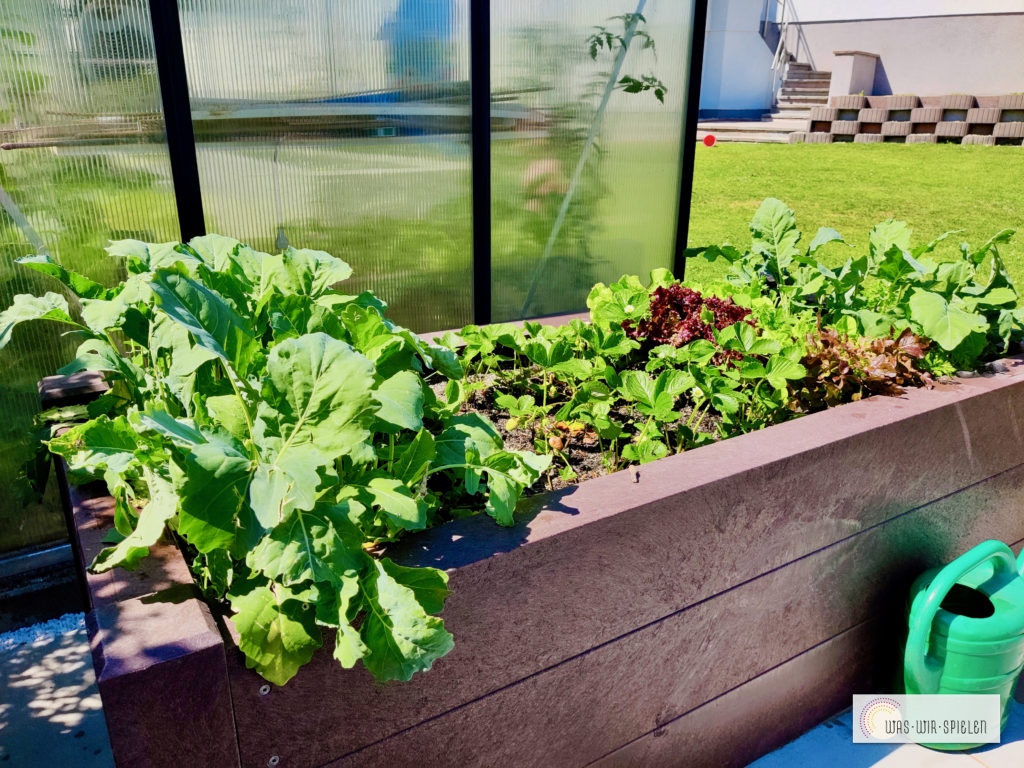 Absolute Produktempfehlung!