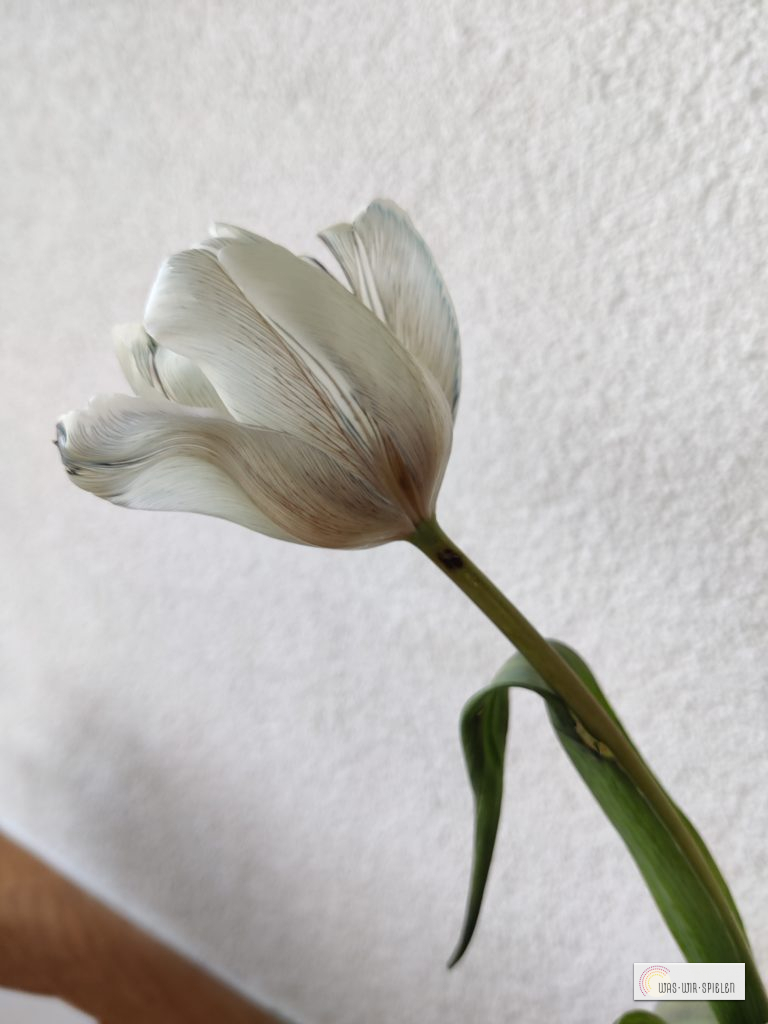 Experiment mit Kindern