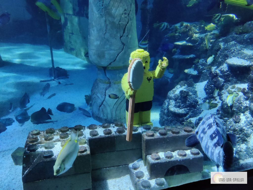 Eine Vielzahl an Fischen