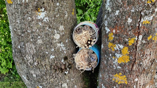 Upcycling Insektenhotel selber machen