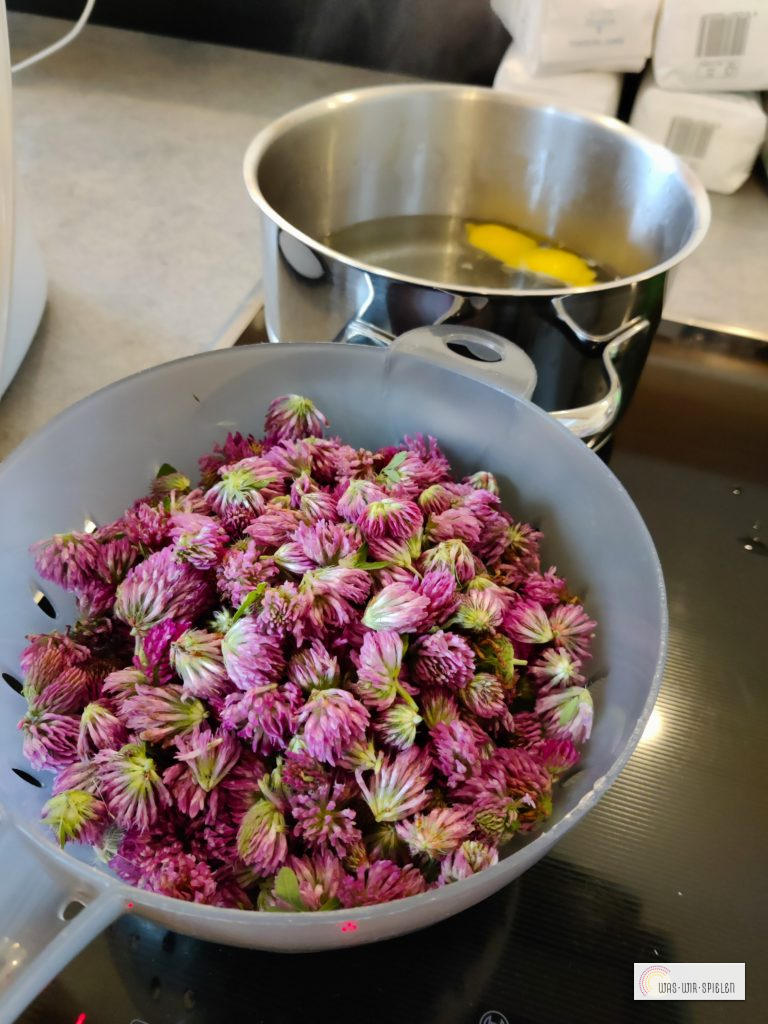 Sud herstellen - Rotklee - Blüten und Zitrone