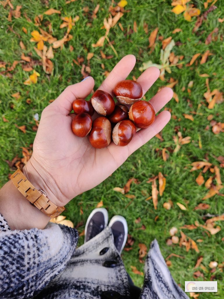 Kastanien sammeln