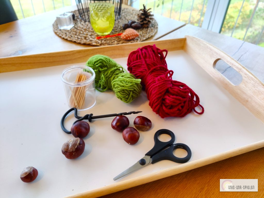 Du brauchst - Kastanien, Zahnstocher und Wolle