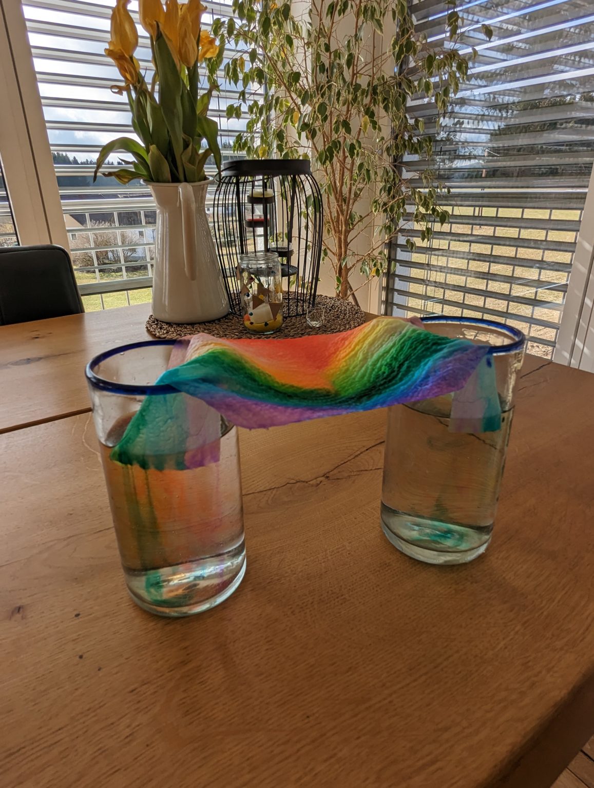 experiment regenbogen cd