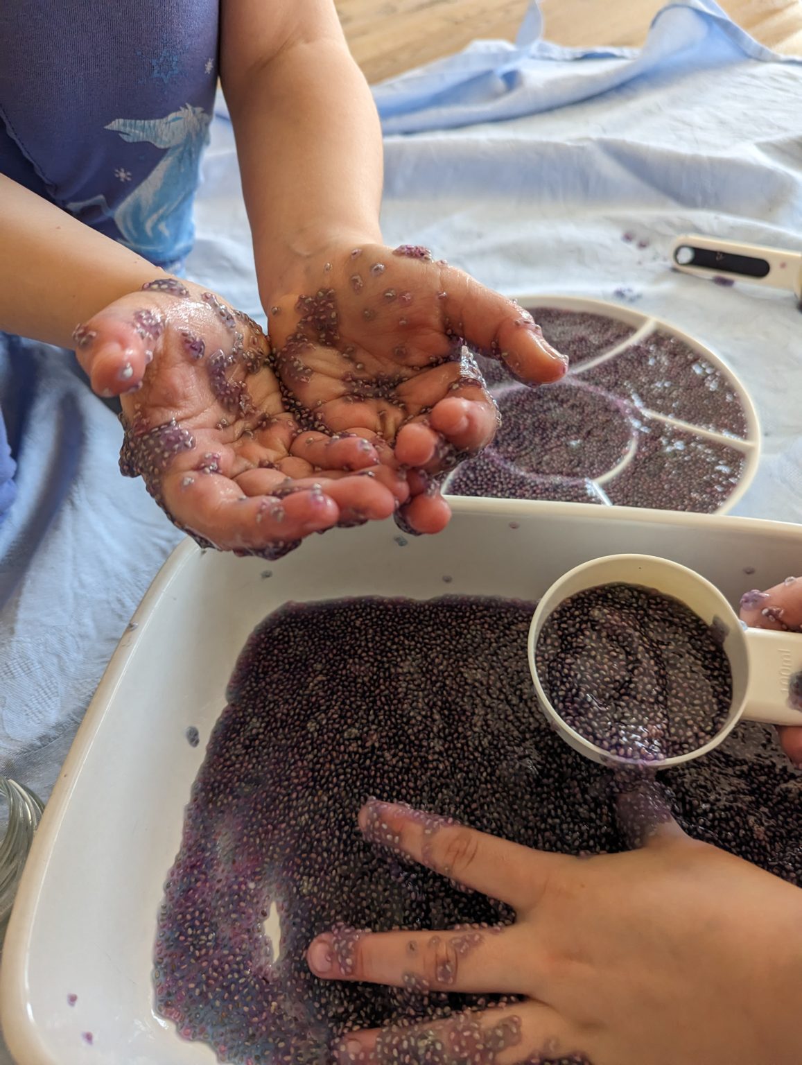 Chia Slime - ungiftiger Glibber aus zwei Zutaten - waswirspielen.com