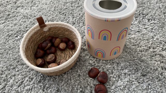 Vier lustige Spielideen für Kleinkinder mit Kastanien