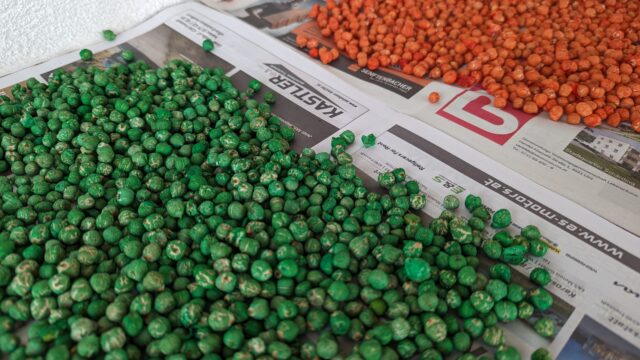 Bunte Kichererbsen – natürliches Spielmaterial