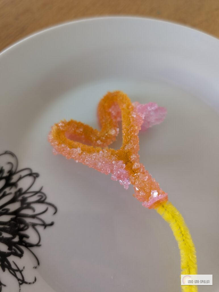 Zuckerkristalle enstehen